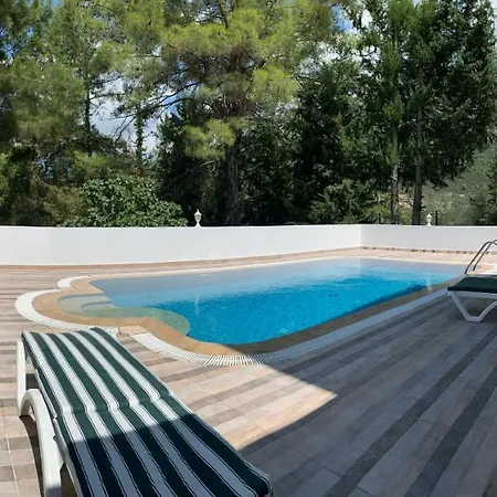 306 Sok 9a Mountain View فيلة فتحية